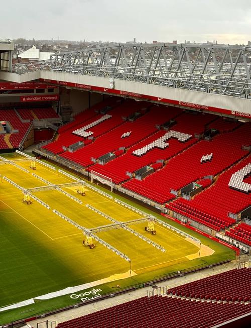 球迷：这就是我热爱这项运动的理由