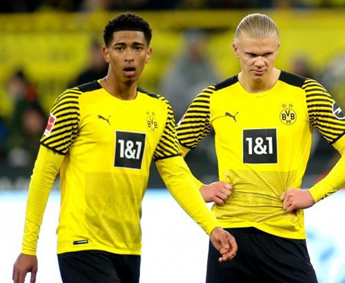 女子篮球联赛MVP候选名单公布